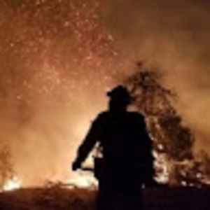 Meet your Posher, Bryan